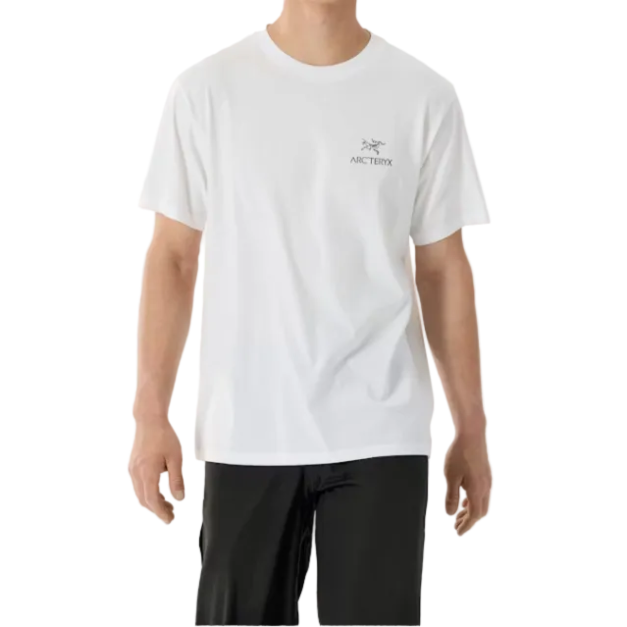 Men's Kragg SL Cotton Bird Word Short Sleeve T-Shirt
