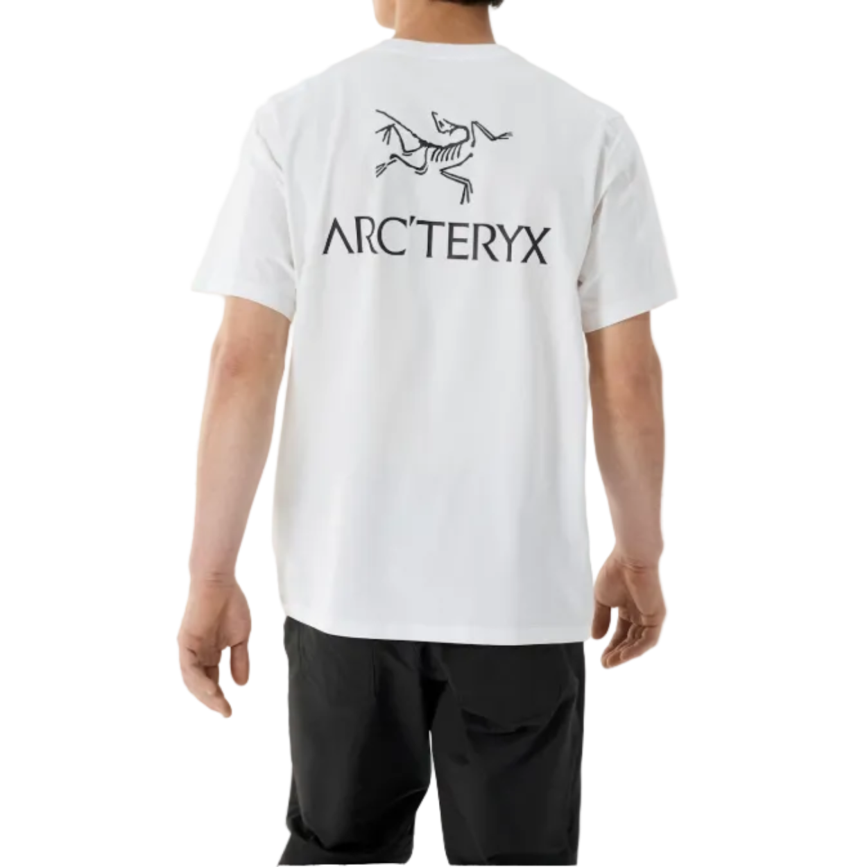 Men's Kragg SL Cotton Bird Word Short Sleeve T-Shirt