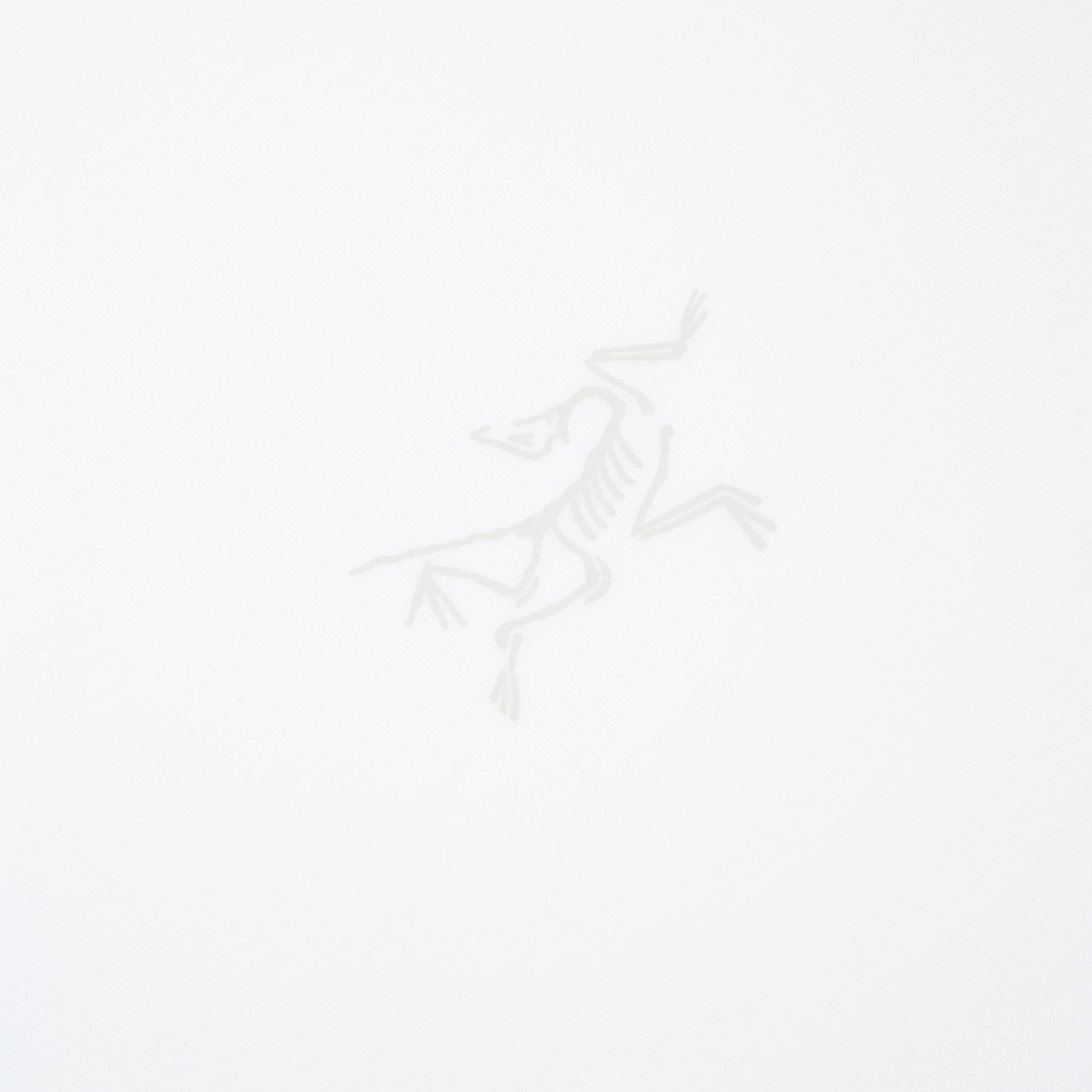 Arc'teryx Kragg SL Cotton SS M (White Light)