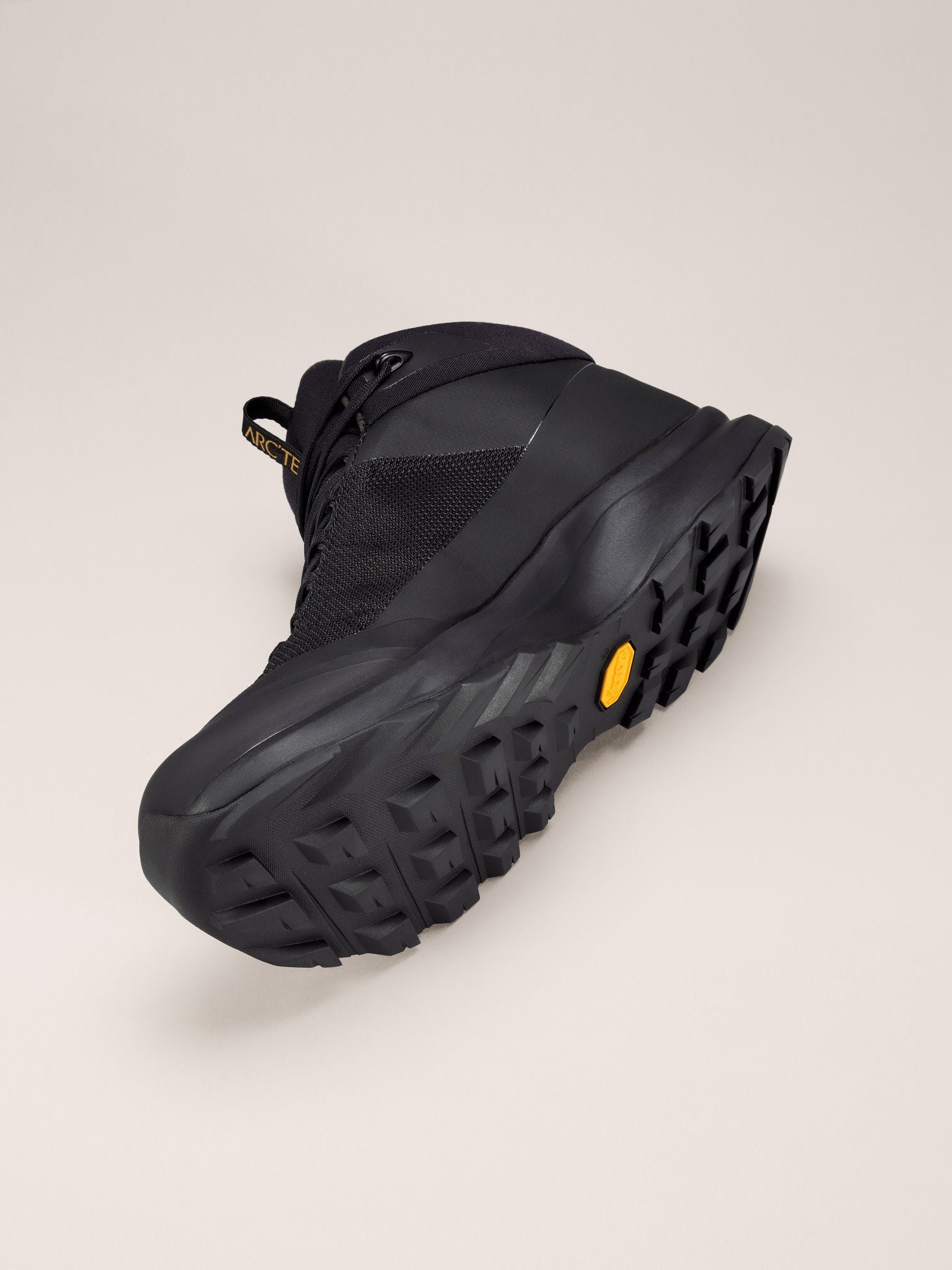 Aerios FL 2 Mid GTX Shoe Men's