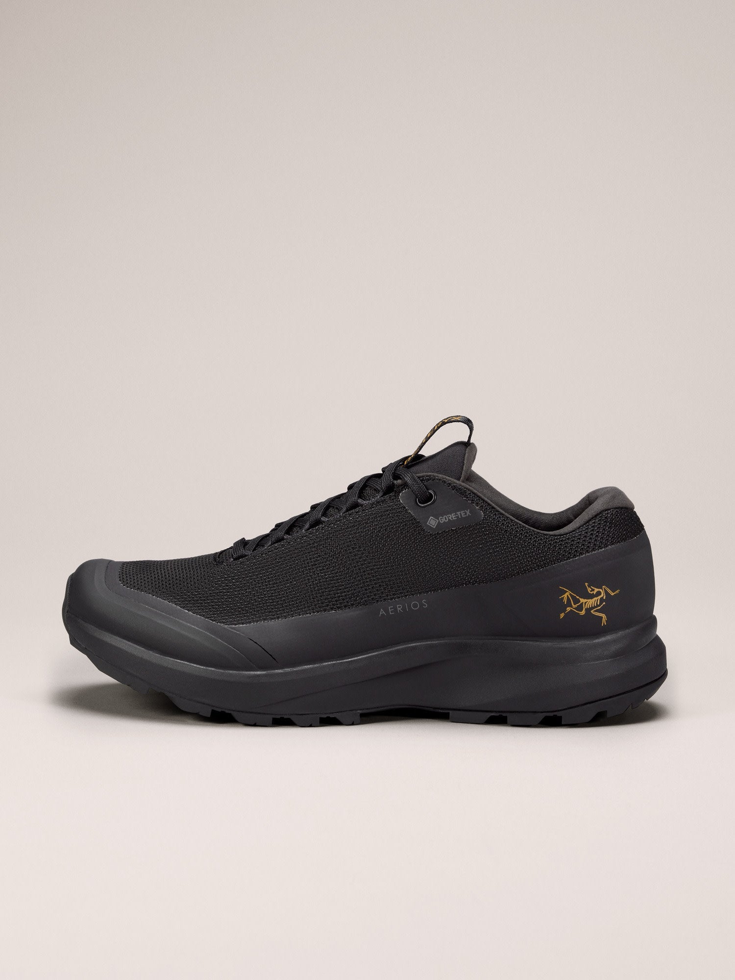 Aerios FL 2 GTX Shoe Women's