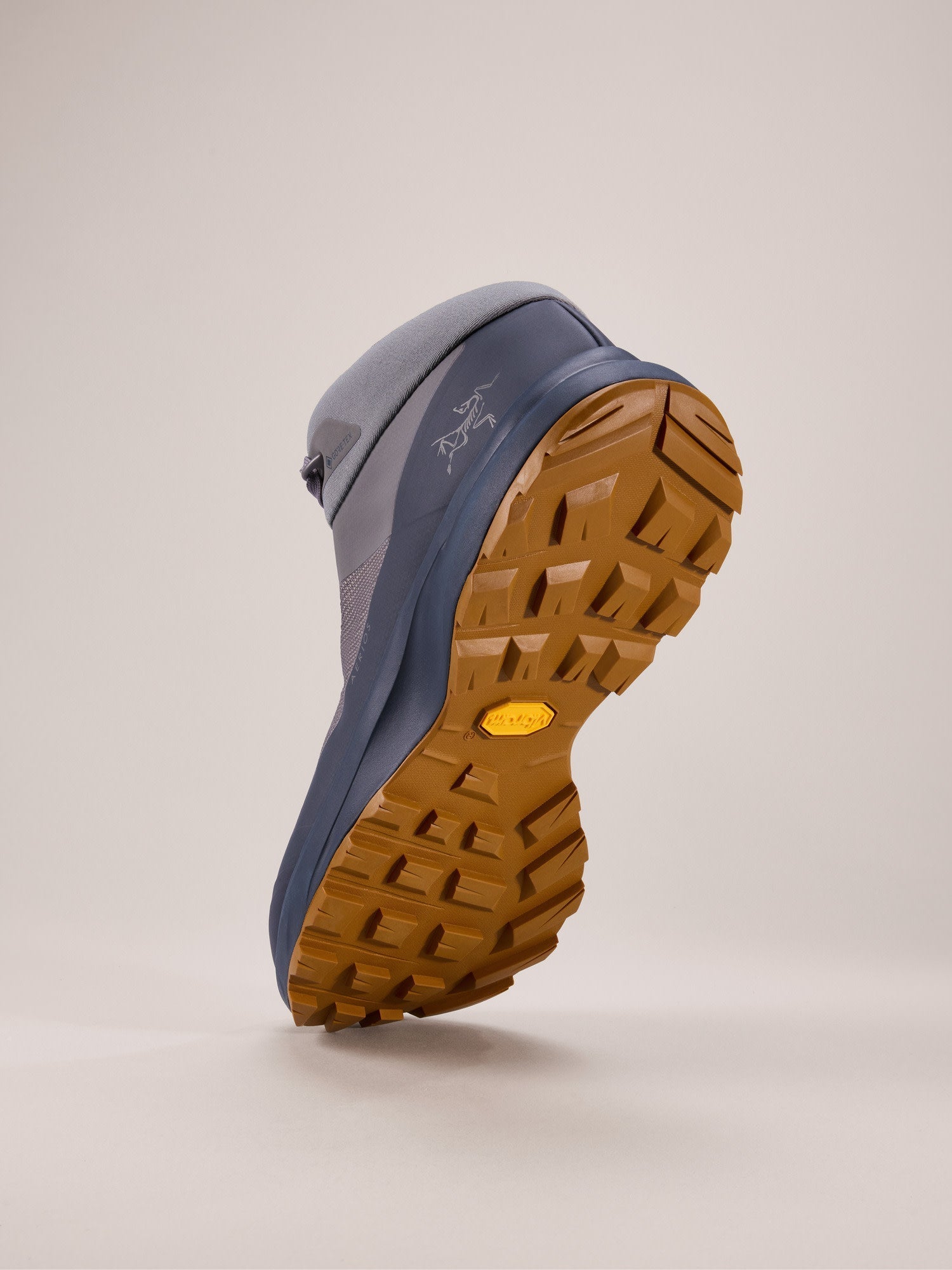 Aerios FL 2 Mid GTX Shoe Men's