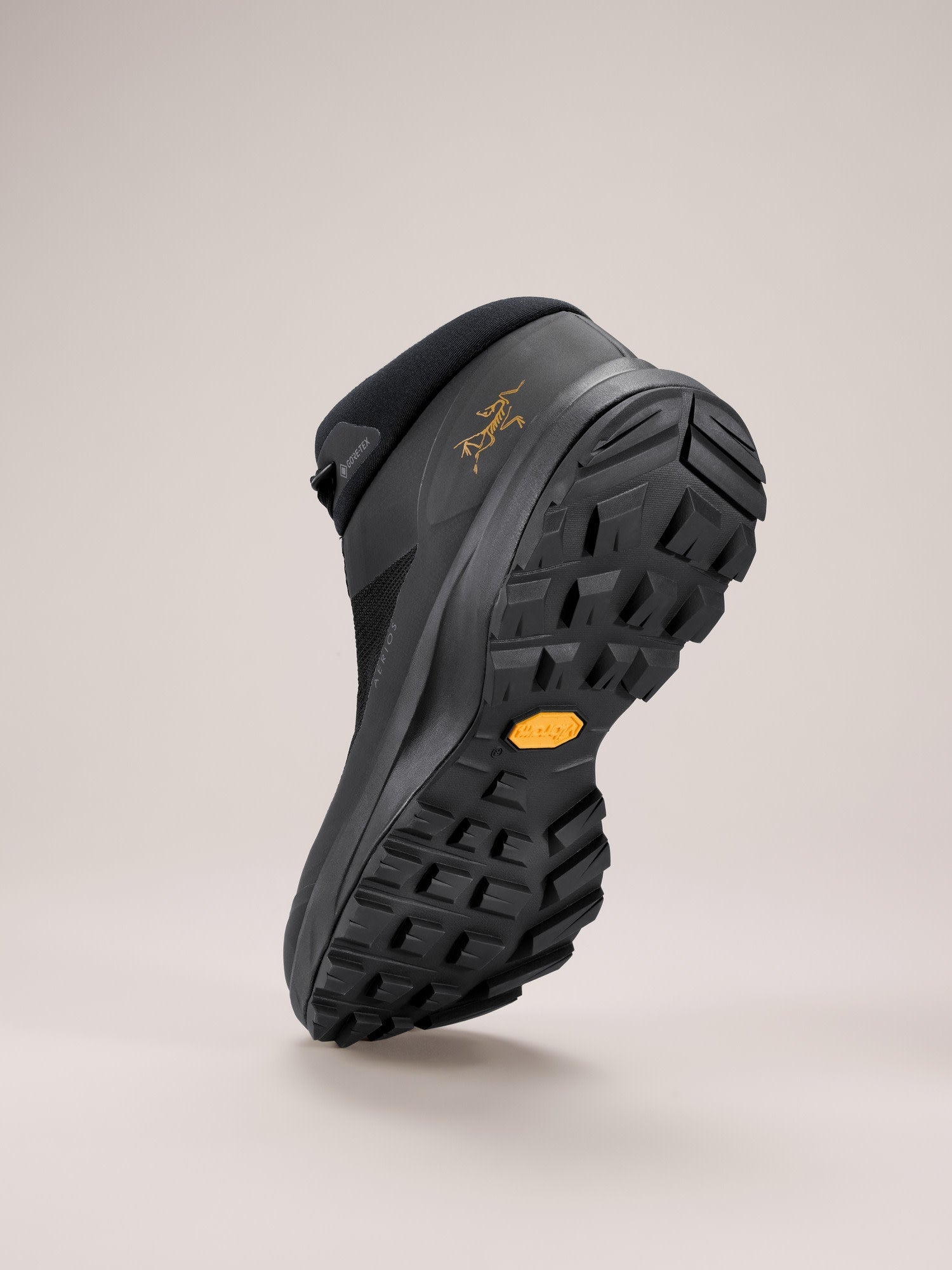 Aerios FL 2 Mid GTX Shoe Women's
