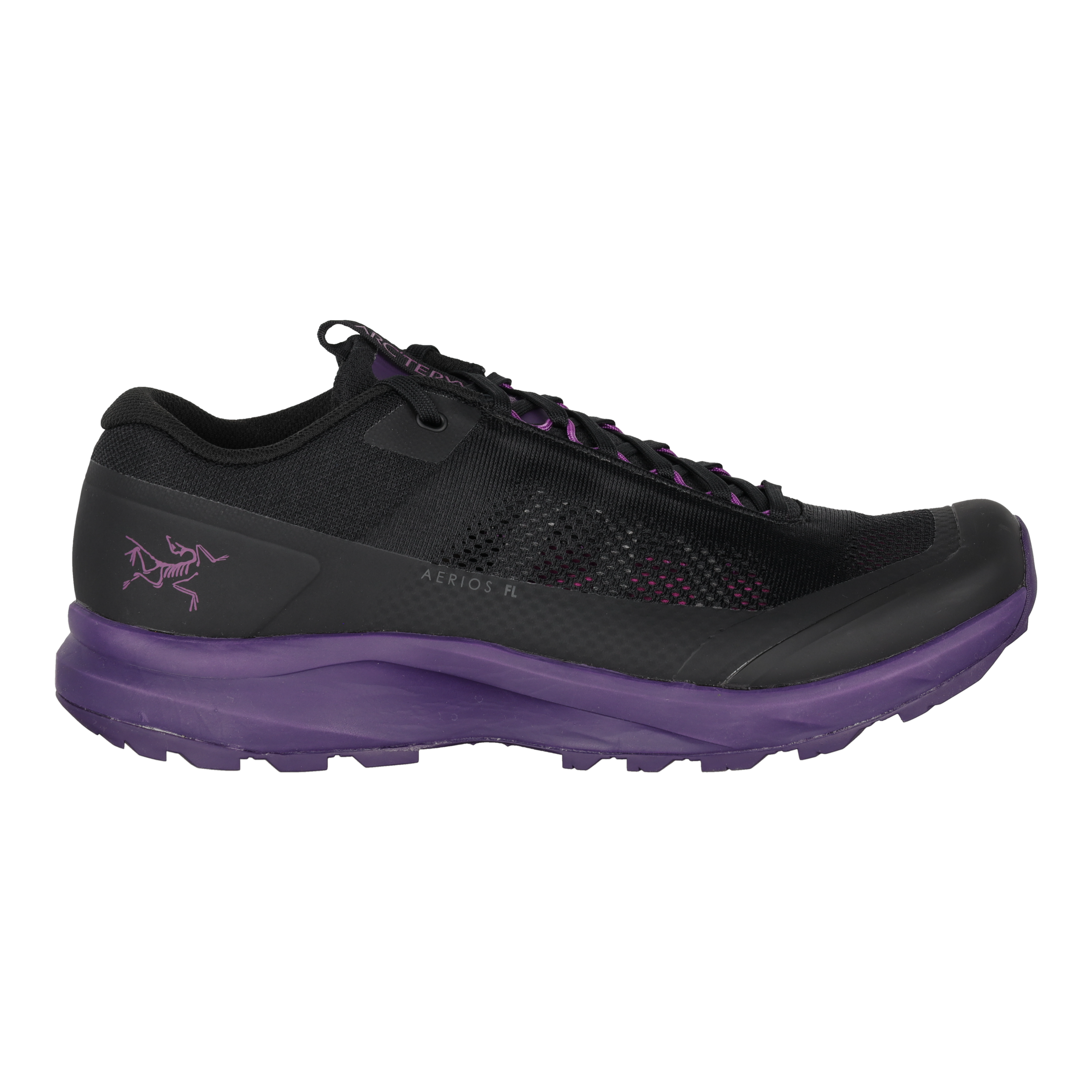 Aerios FL 2 GTX Shoe Men's
