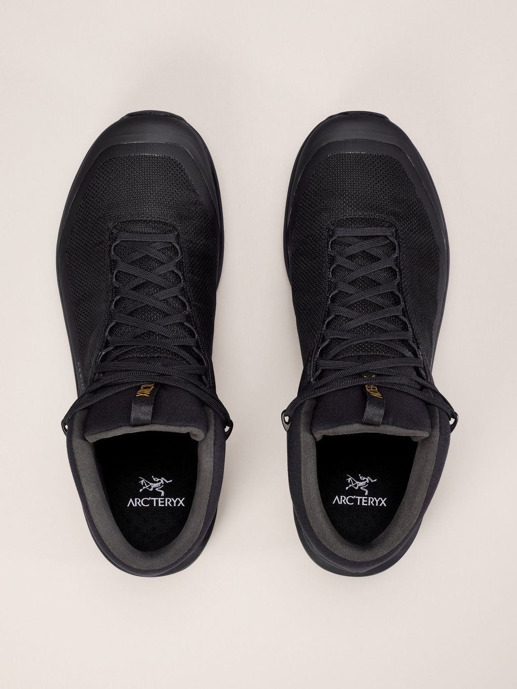 Aerios FL 2 Mid GTX Shoe Men's