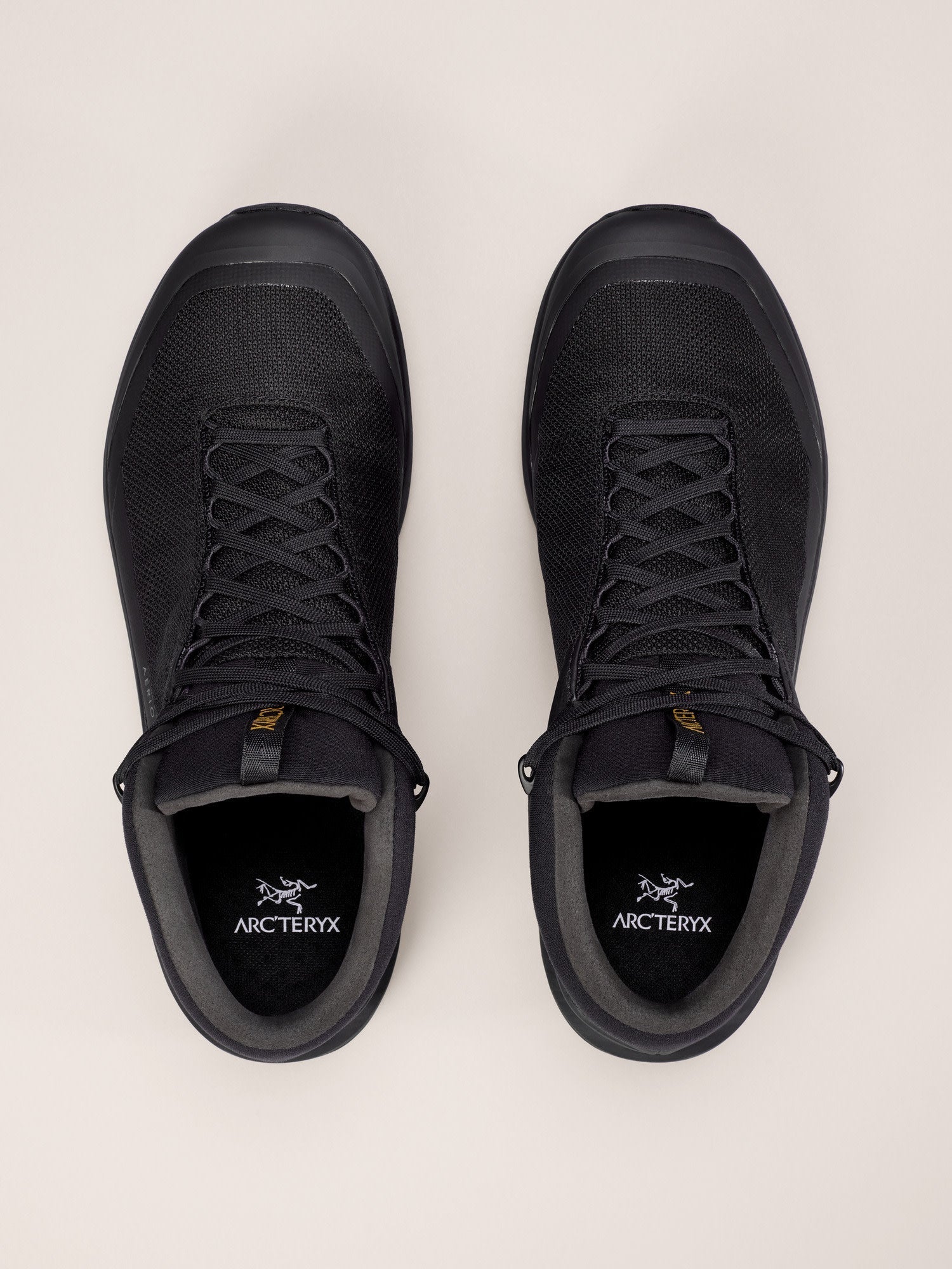 Aerios FL 2 Mid GTX Shoe Men's