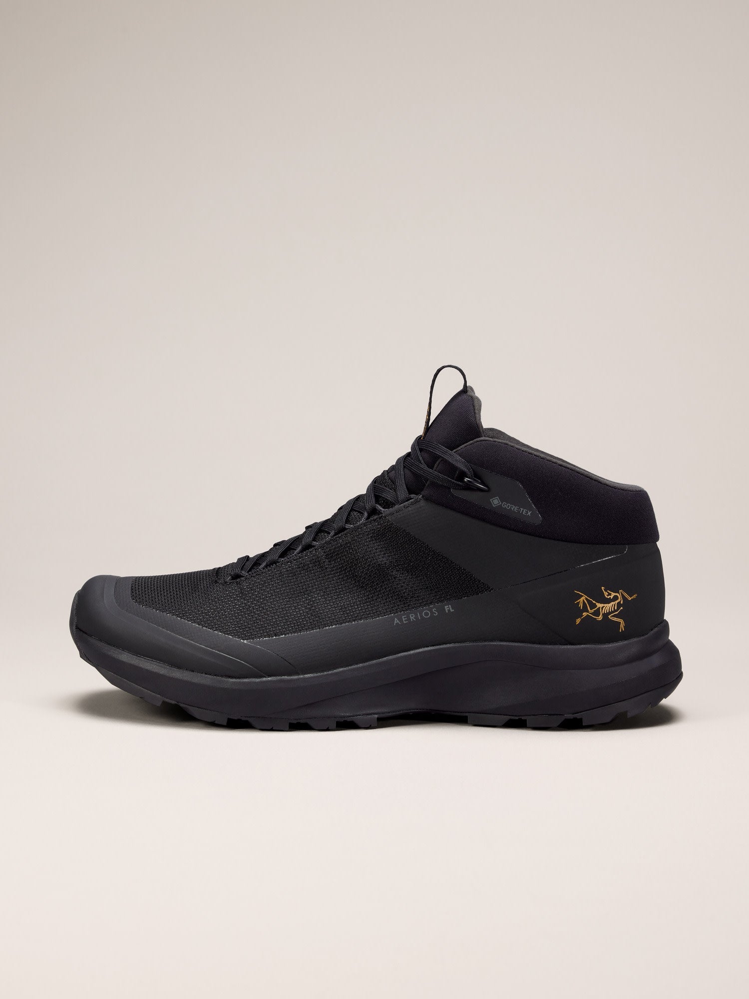 Aerios FL 2 Mid GTX Shoe Men's