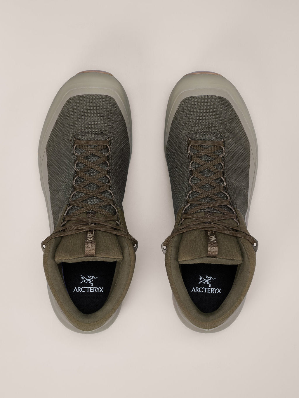 Aerios FL 2 Mid GTX Shoe Men's