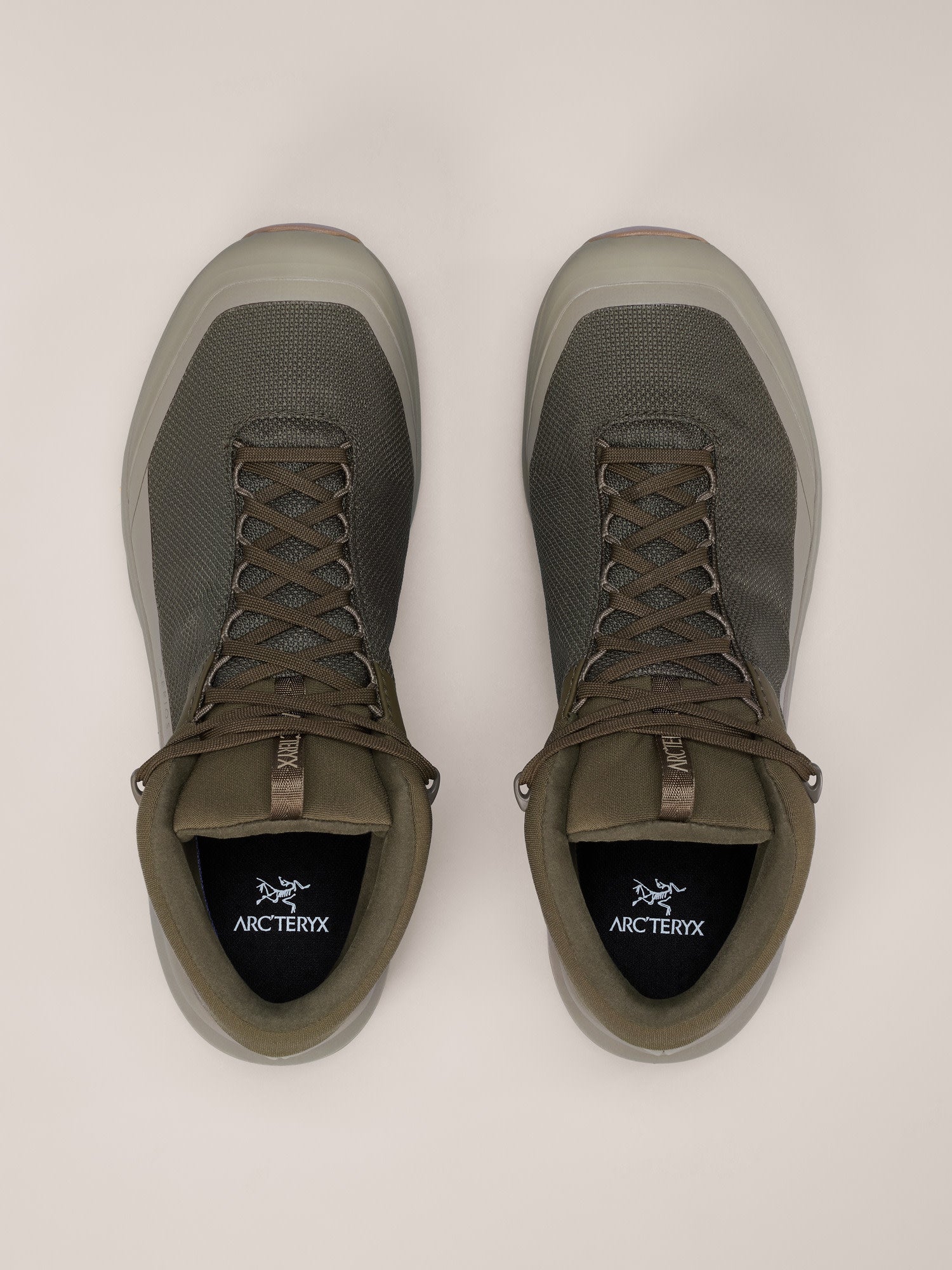 Aerios FL 2 Mid GTX Shoe Men's