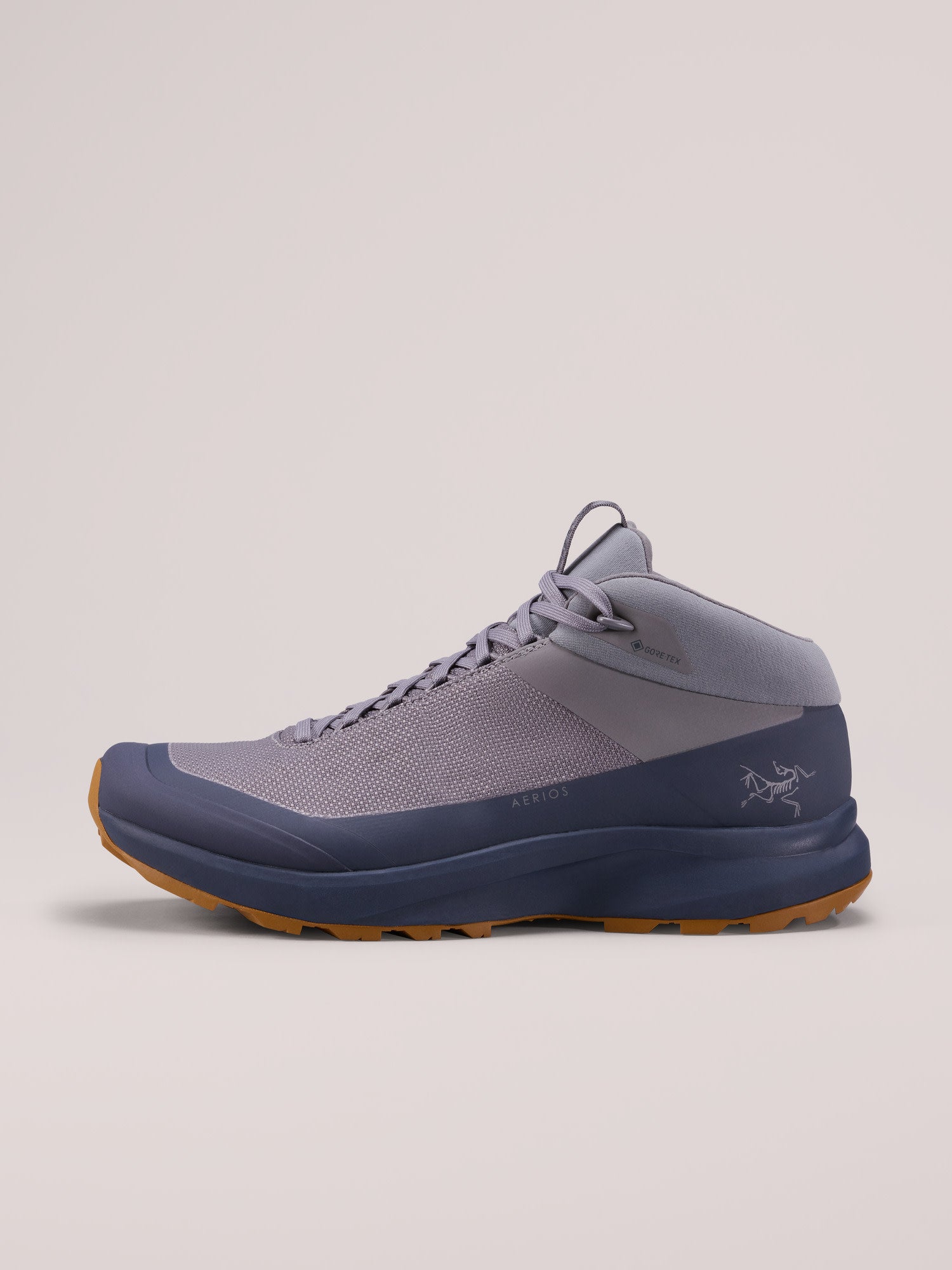 Aerios FL 2 Mid GTX Shoe Men's