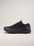 Aerios FL 2 GTX Shoe Men's