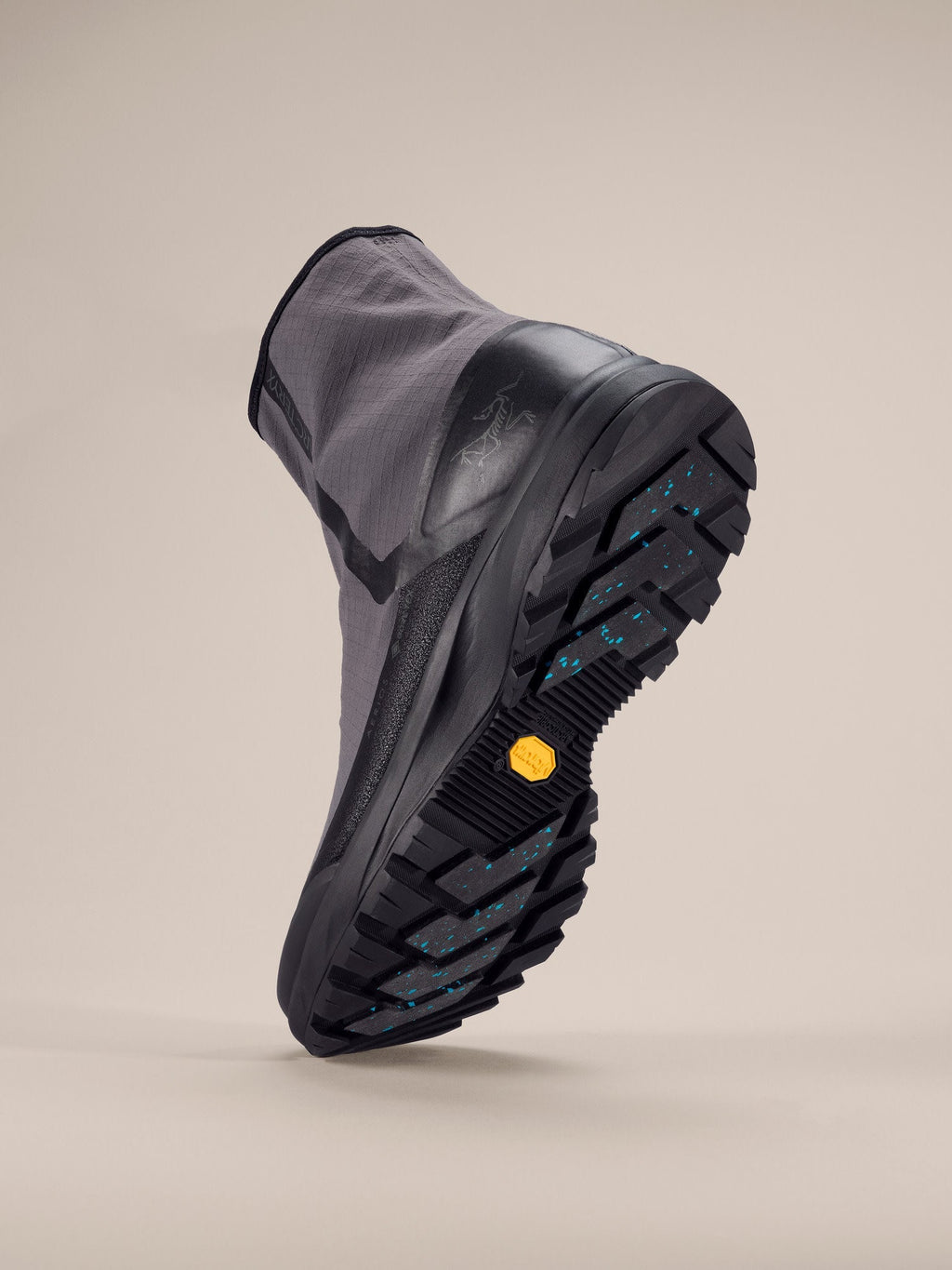 Aerios Nivalis GTX Shoe