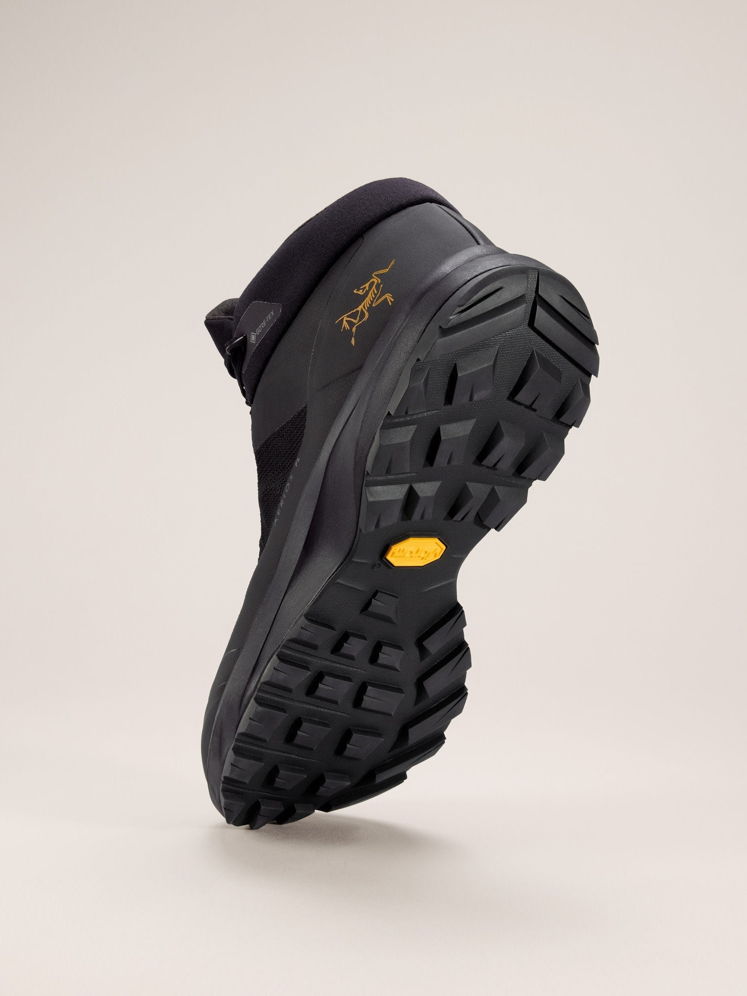 Aerios FL 2 Mid GTX Shoe Men's