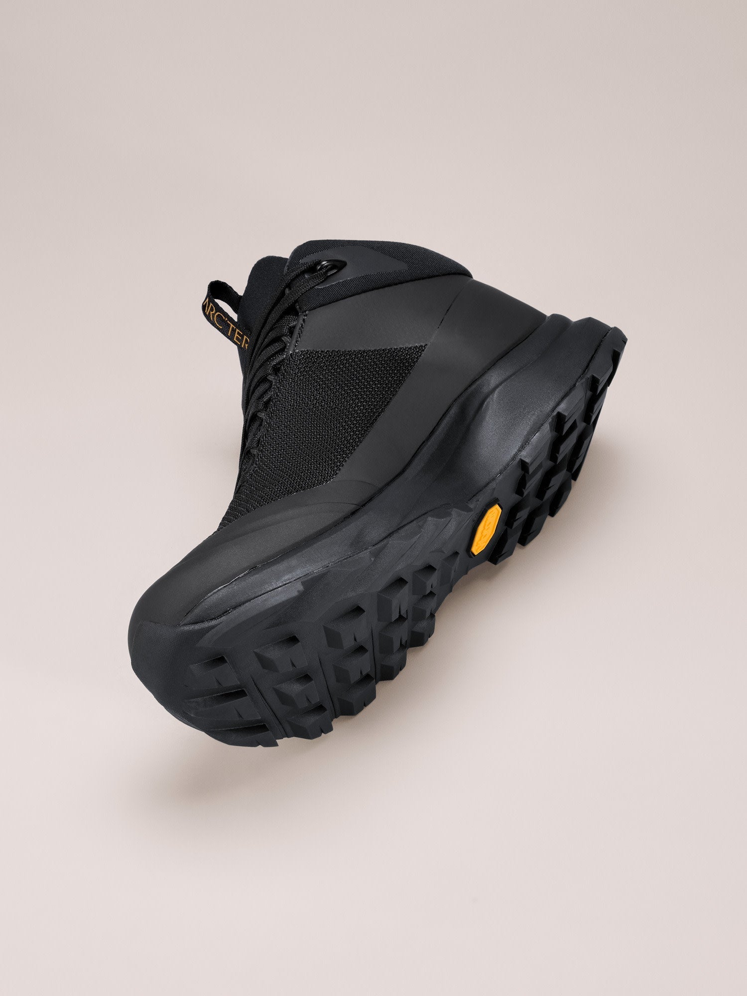 Aerios FL 2 Mid GTX Shoe Women's