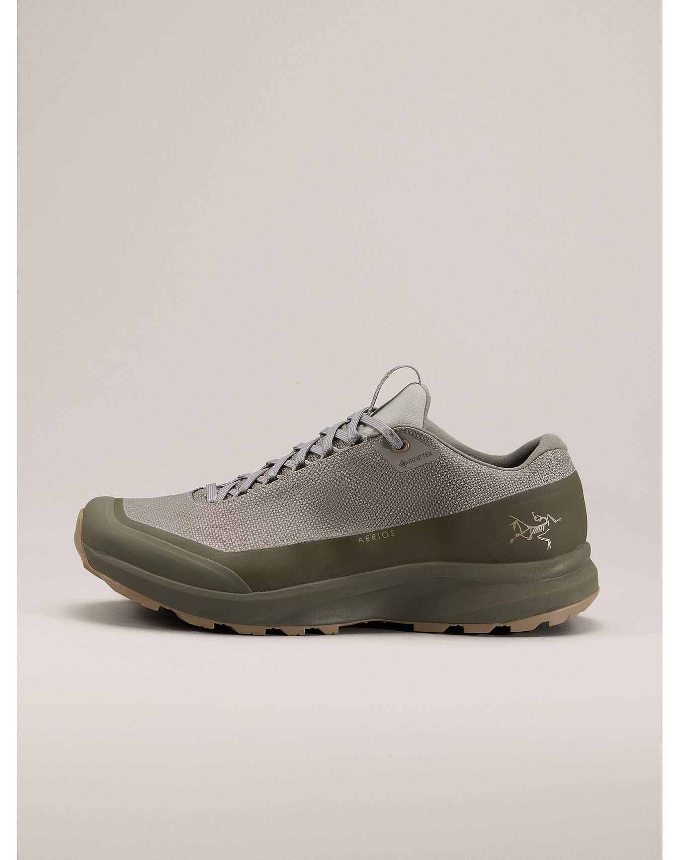 Aerios FL 2 GTX Shoe Men's