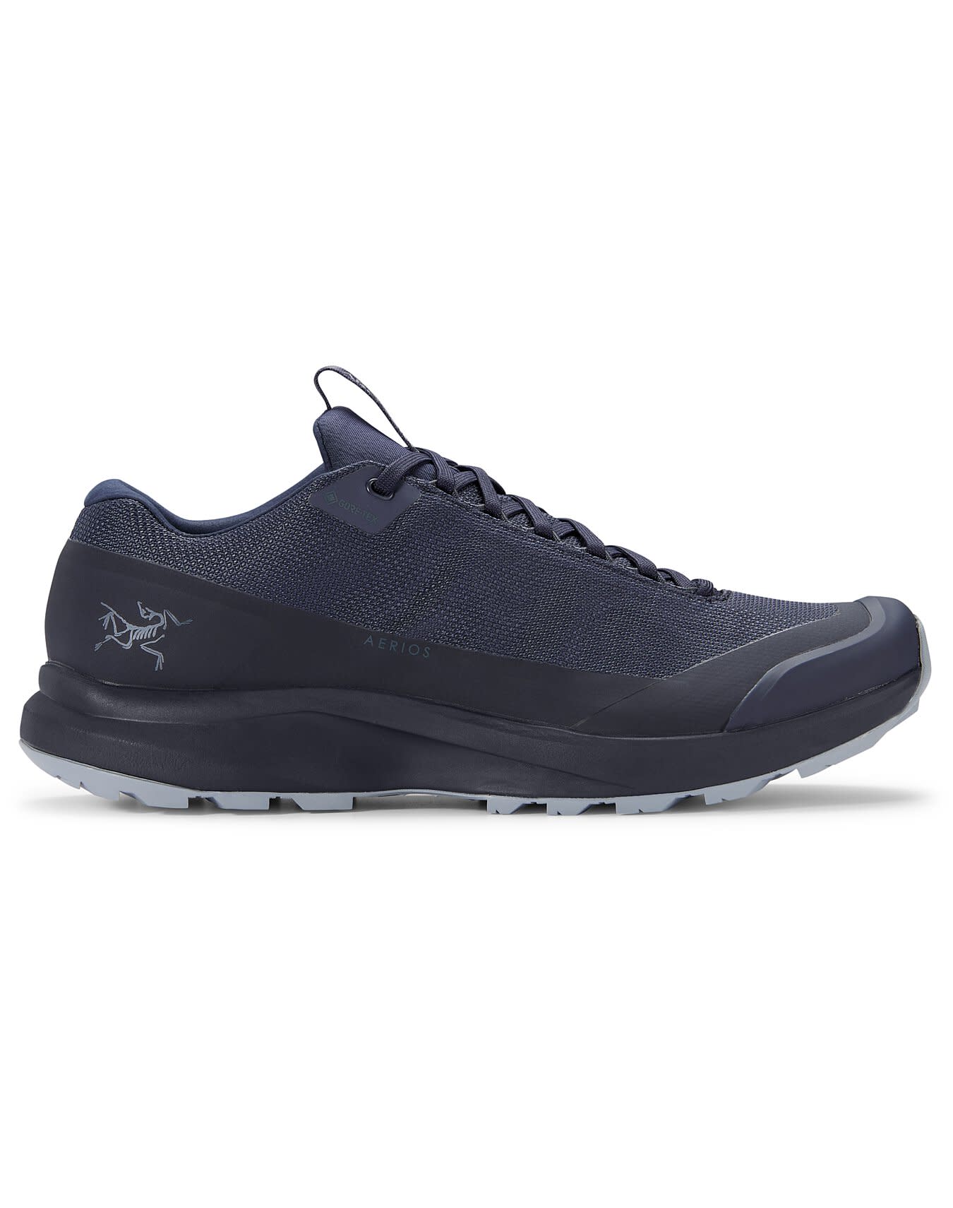 Aerios FL 2 GTX Shoe