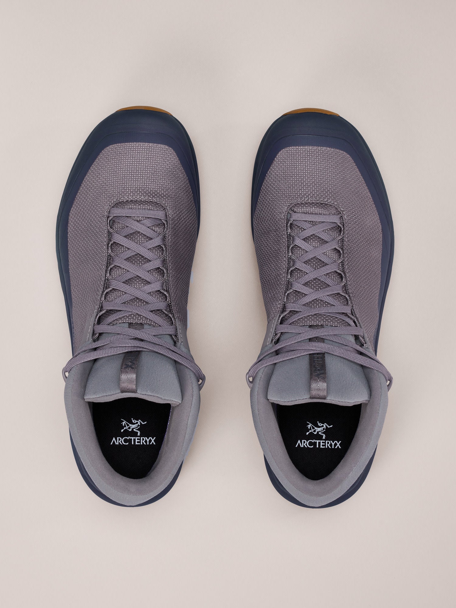 Aerios FL 2 Mid GTX Shoe Men's
