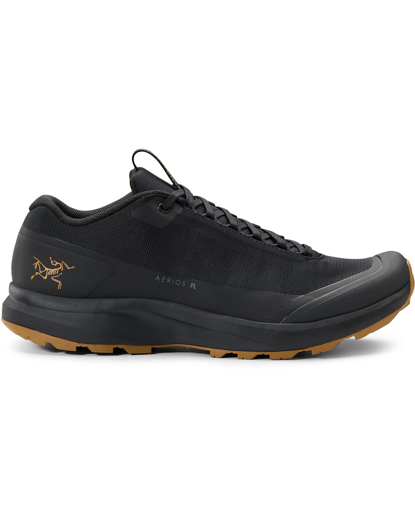 Aerios FL 2 Shoe Men's