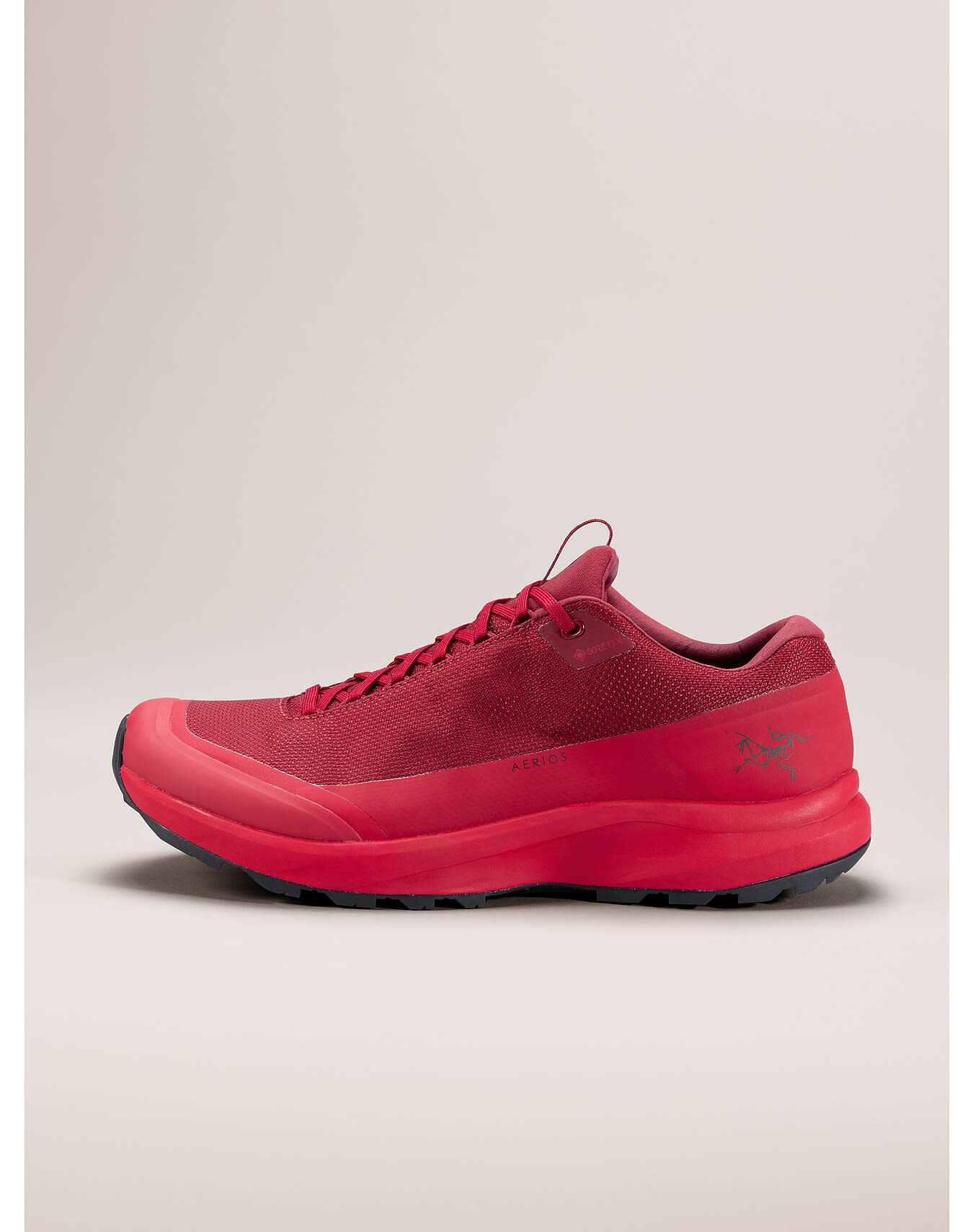 Aerios FL 2 GTX Shoe