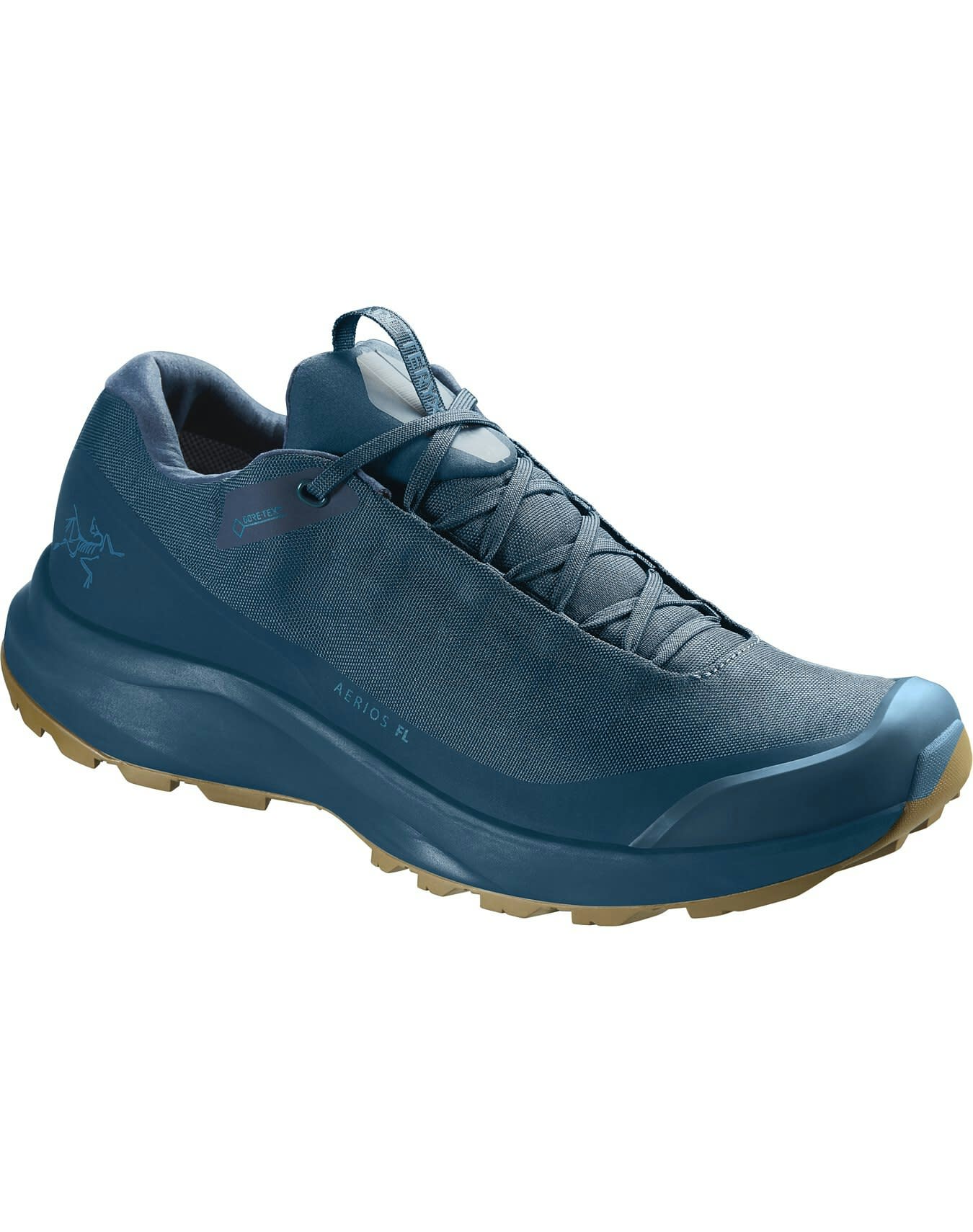 AERIOS FL GTX MEN'S