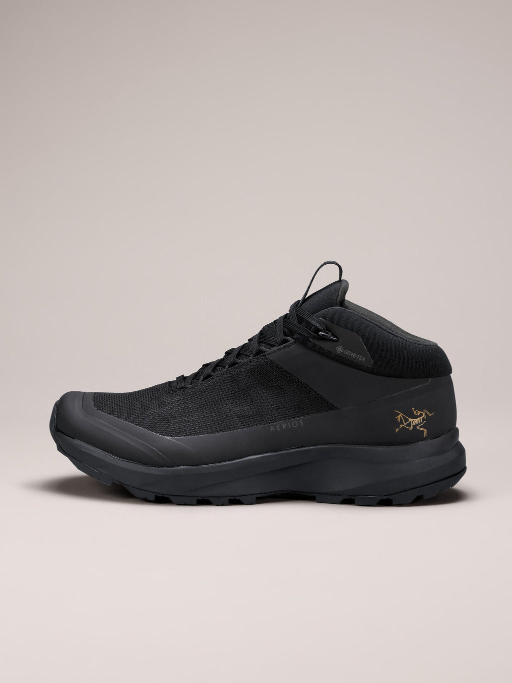 Aerios FL 2 Mid GTX Shoe Women's