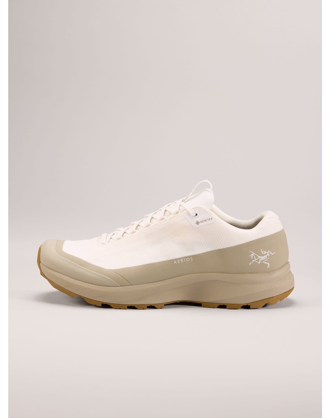 Aerios GTX Shoe